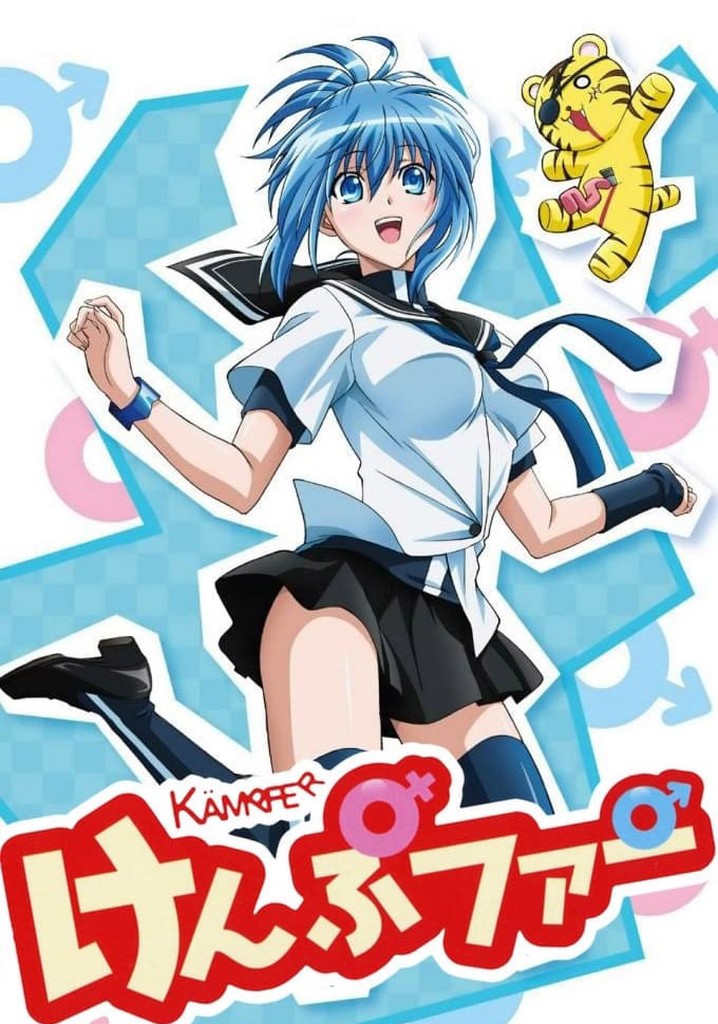 Kämpfer watch tv show streaming online